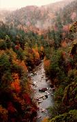 Linville Gorge