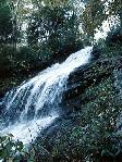Cascades Falls