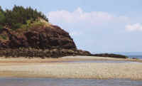 fundy2.JPG (34788 bytes)