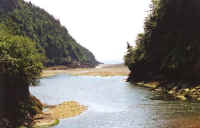 fundy3.jpg (42544 bytes)
