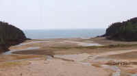fundy6.jpg (26289 bytes)