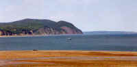 fundy7.JPG (82613 bytes)