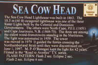 seacow6.JPG (57058 bytes)