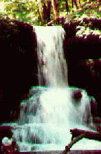Rickets Glen Water Falls