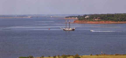 charlo_harbor9.JPG (19963 bytes)