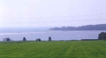 fields5.JPG (17595 bytes)